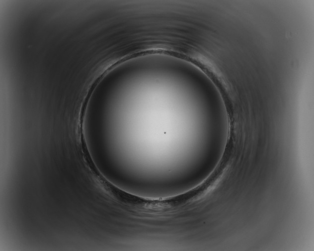 X0000088621129200705251235