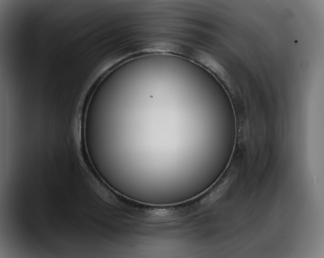 X0000088621130200705251236