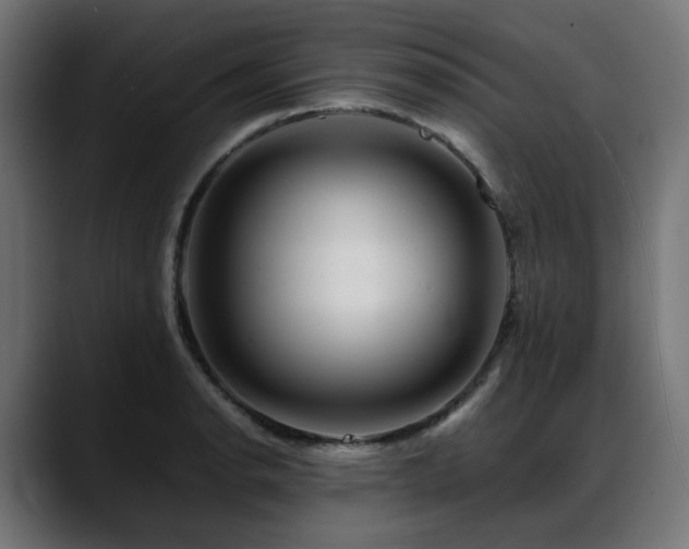 X0000088621134200705251236