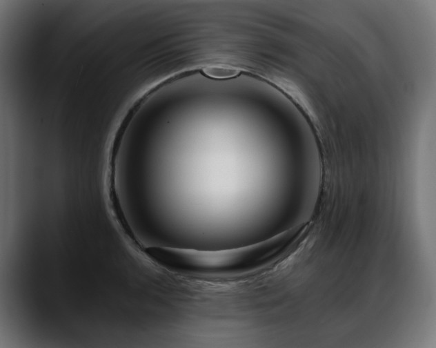 X0000088621136200705251236