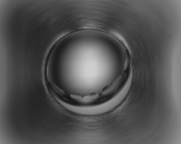 X0000088621138200705251236