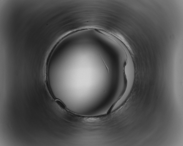 X0000088621140200705251236