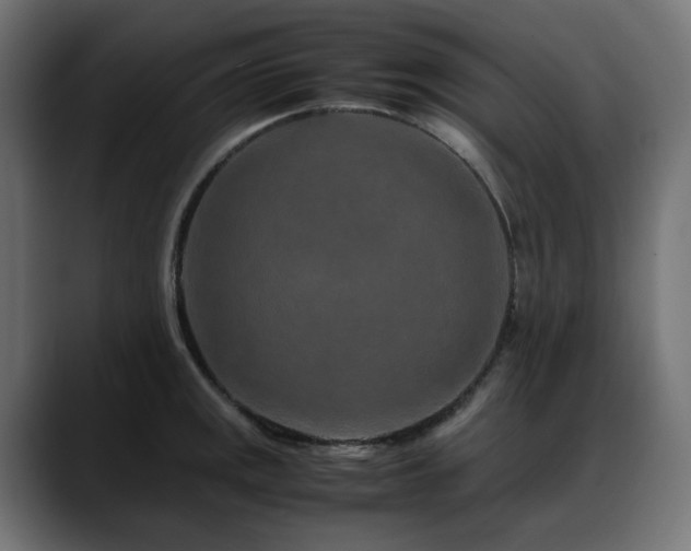 X0000088621141200705251236