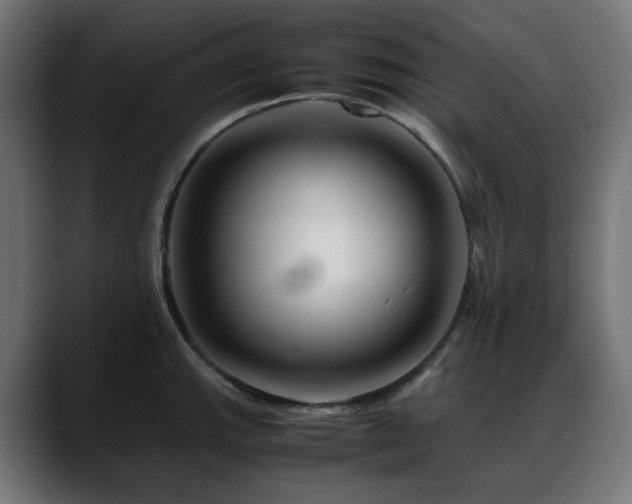 X0000088621143200705251236