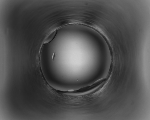 X0000088621145200705251236