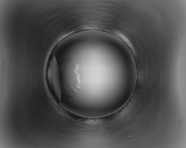 X0000088621146200705251236