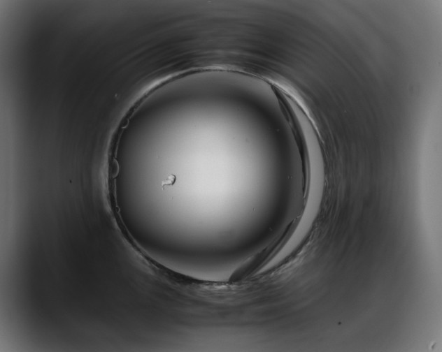 X0000088621147200705251236