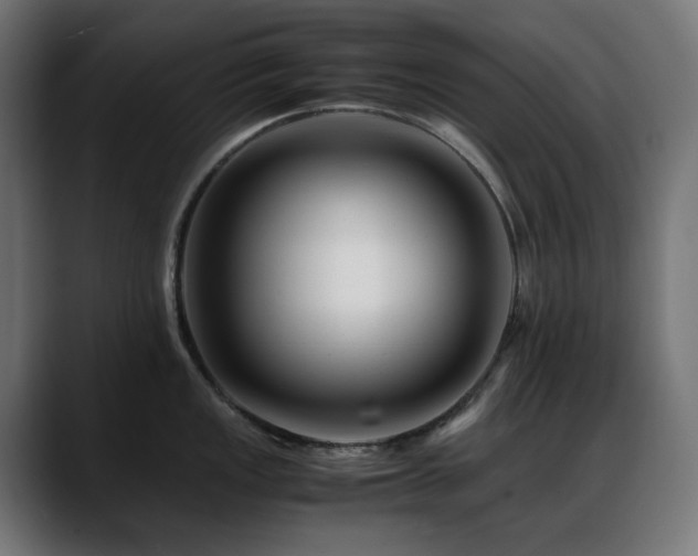 X0000088621149200705251236