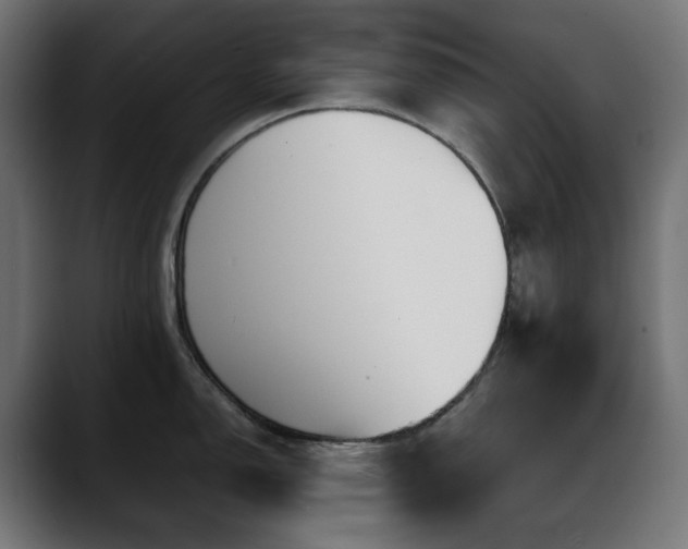 X0000088621150200705251236