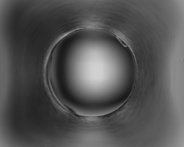 X0000088621152200705251236