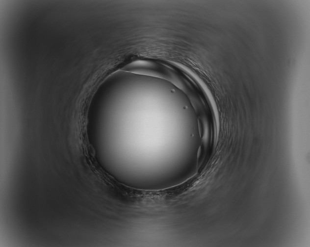 X0000088621153200705251235