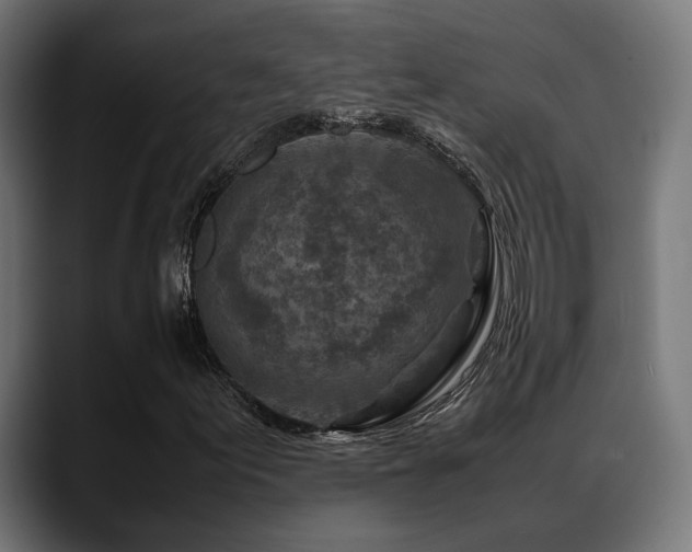 X0000088621155200705251235
