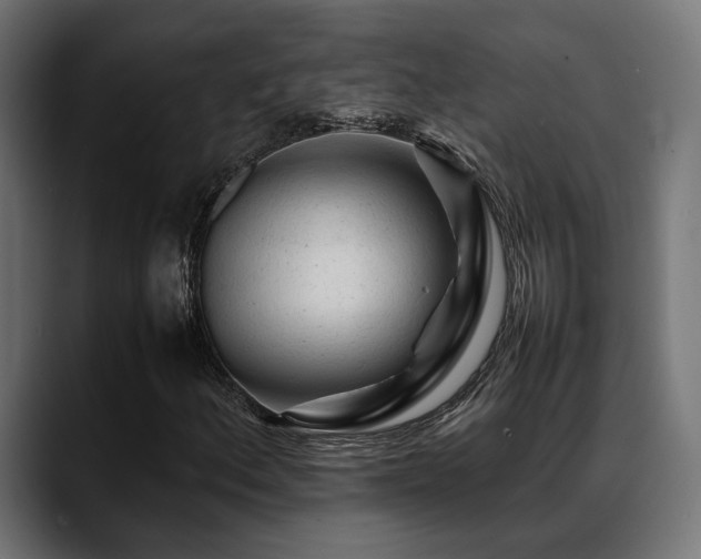 X0000088621156200705251235