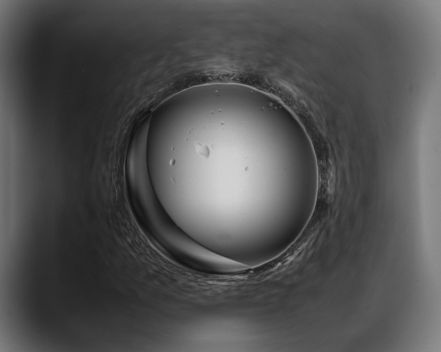 X0000088621157200705251235