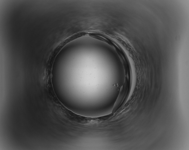 X0000088621160200705251235