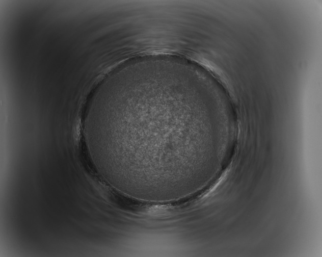 X0000088621161200705251235