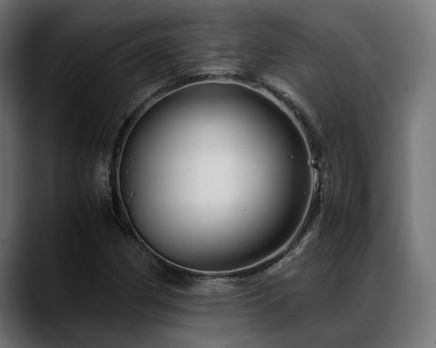 X0000088621162200705251235