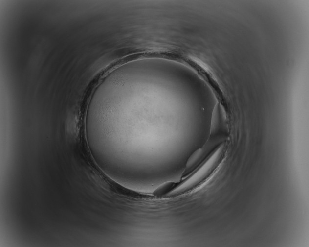 X0000088621163200705251235
