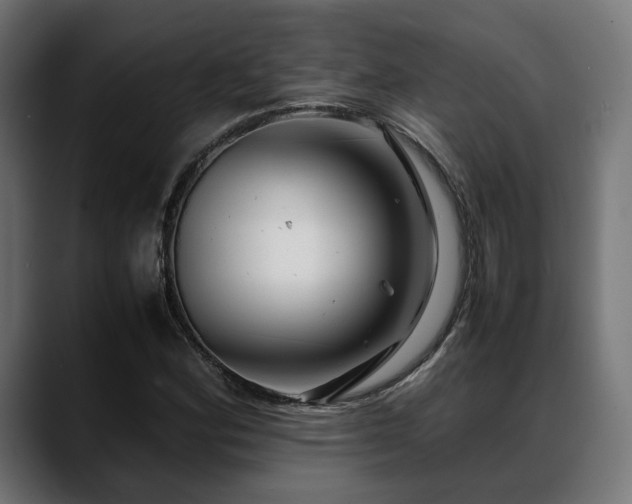 X0000088621164200705251235