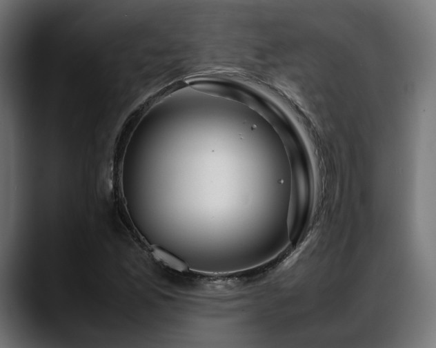 X0000088621165200705251235