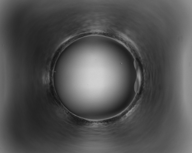 X0000088621166200705251235