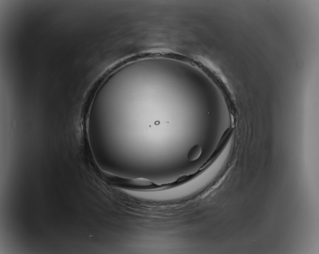 X0000088621167200705251235