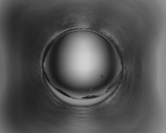 X0000088621168200705251235