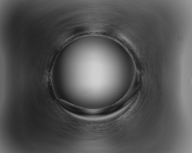 X0000088621169200705251235