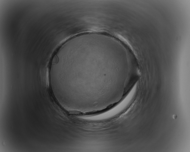X0000088621171200705251235