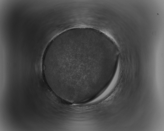 X0000088621173200705251235