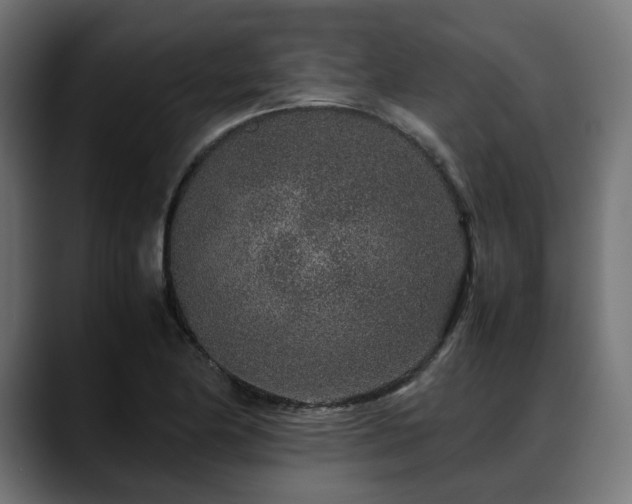 X0000088621174200705251235
