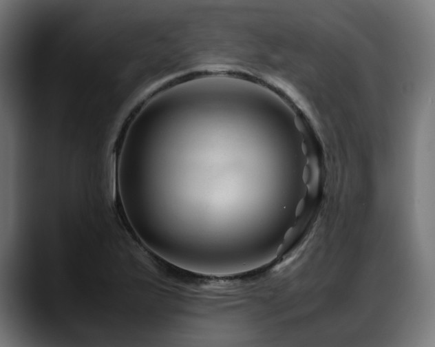X0000088621175200705251235