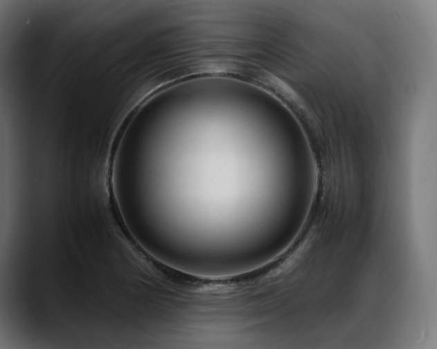 X0000088621178200705251235