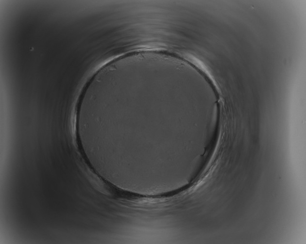 X0000088621179200705251235