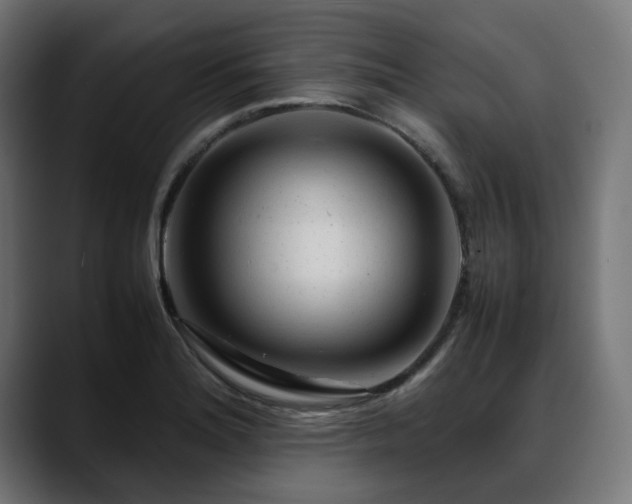 X0000088621180200705251235