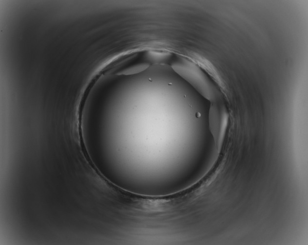 X0000088621184200705251235