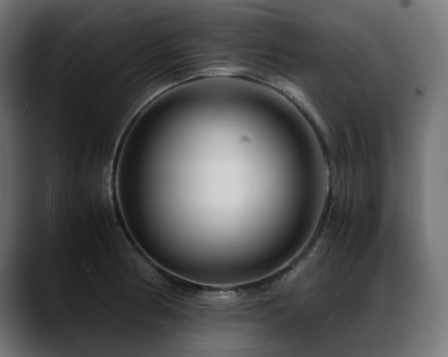 X0000088621186200705251235