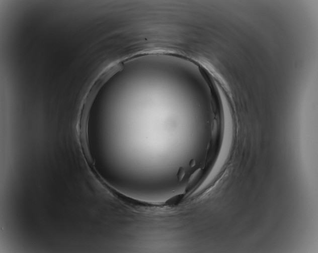 X0000088621189200705251235