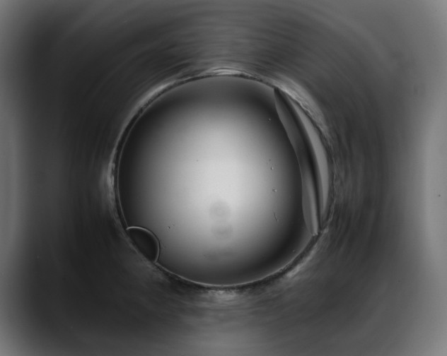 X0000088621190200705251235