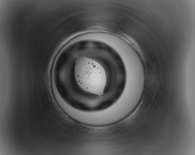 X0000088621192200705251235