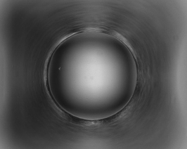 X0000088621195200705251235