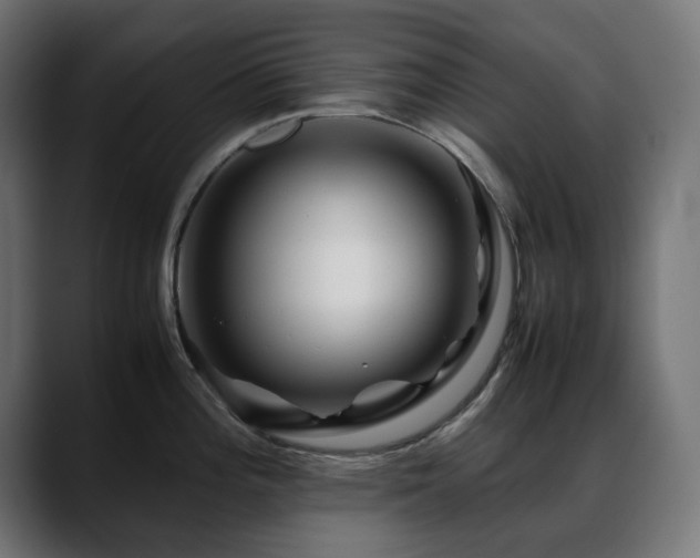 X0000088621196200705251235