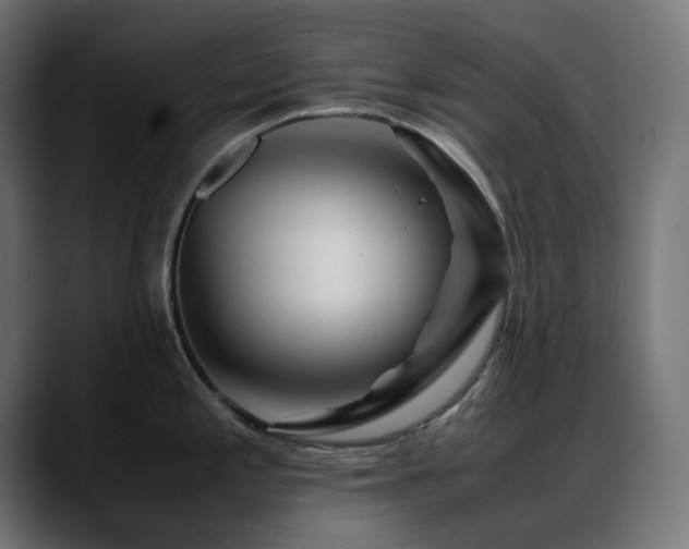 X0000088621197200705251235