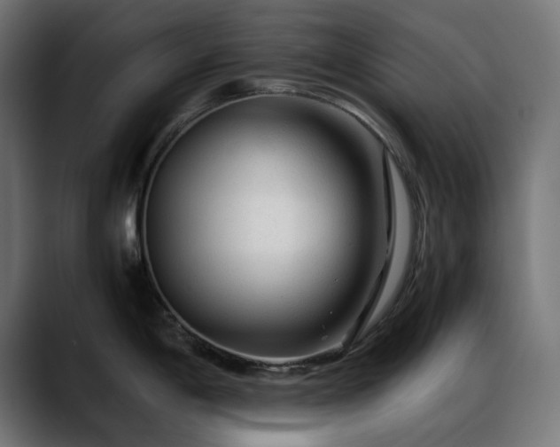 X0000088621198200705251235