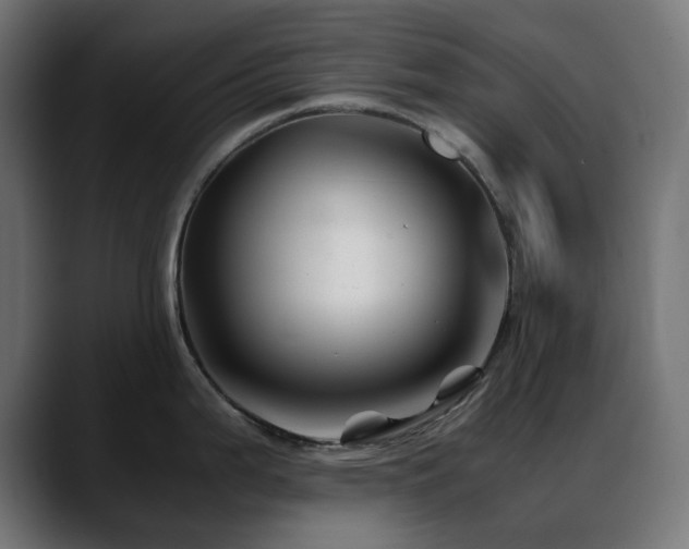 X0000088621199200705251235