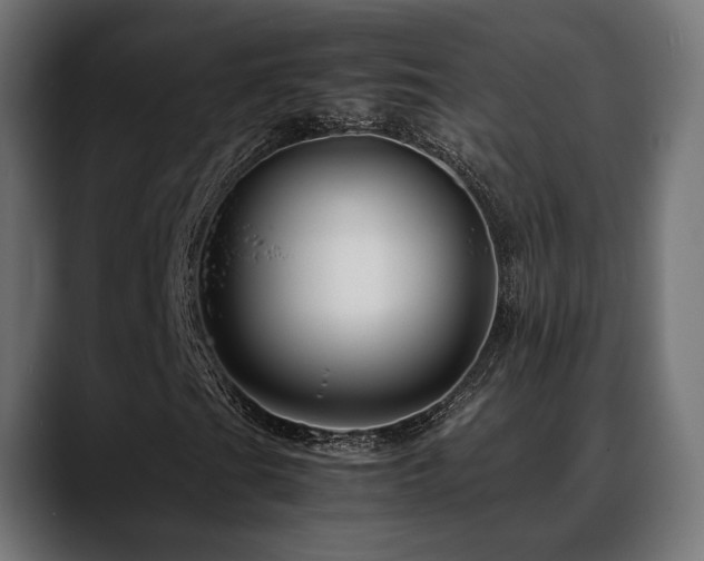 X0000088621201200705251234