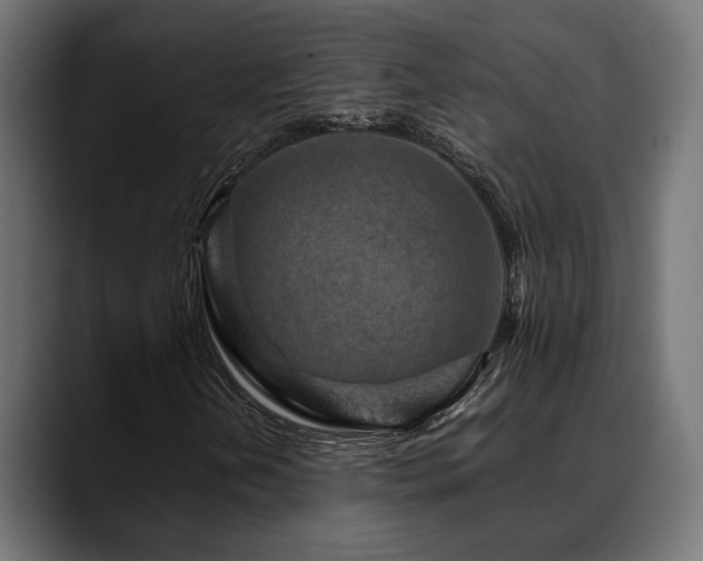 X0000088621202200705251234