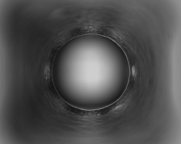 X0000088621203200705251234