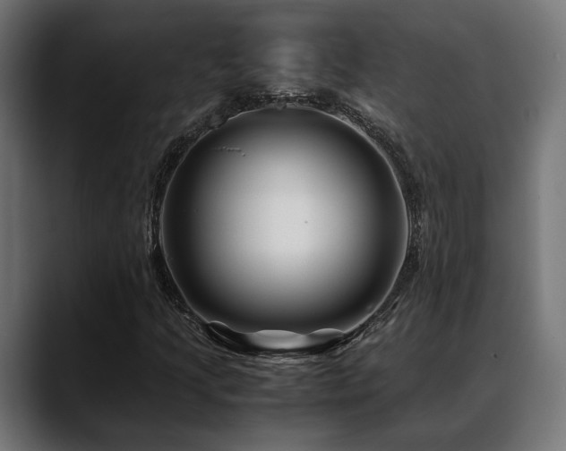 X0000088621205200705251234