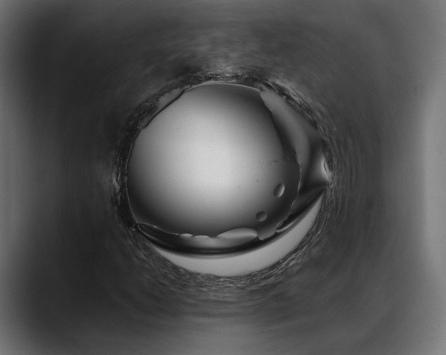 X0000088621206200705251234